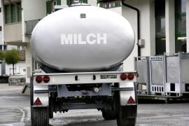 EU milk production down - Swiss farmer