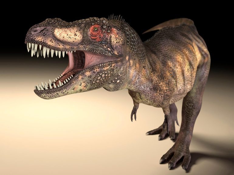 T.  Large carnivorous dinosaurs such as Rex developed eye sockets of various shapes to allow powerful bites.
