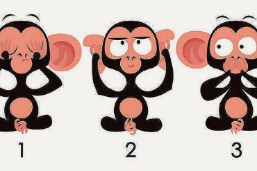 ➤ Choose one of the monkeys today in this visual test and find out what your friends think about you |  Viral |  Personality Challenge |  Trends |  Riddle |  Mexico