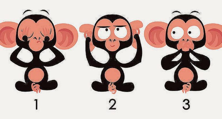 ➤ Choose one of the monkeys today in this visual test and find out what your friends think about you |  Viral |  Personality Challenge |  Trends |  Riddle |  Mexico