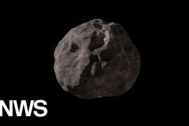 A NASA mission has discovered a moon orbiting the asteroid Lucy Polymelline