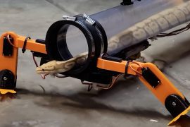 A YouTuber's Crazy Idea: Build a Robotic Exoskeleton to Make a Snake Walk  It works (but under human control) - video