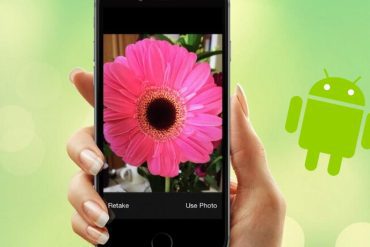 Android |  Find out what kind of plant you have with your mobile camera  Image This |  Operating System |  Strategy |  Technology |  nda |  nnni |  Sports-play