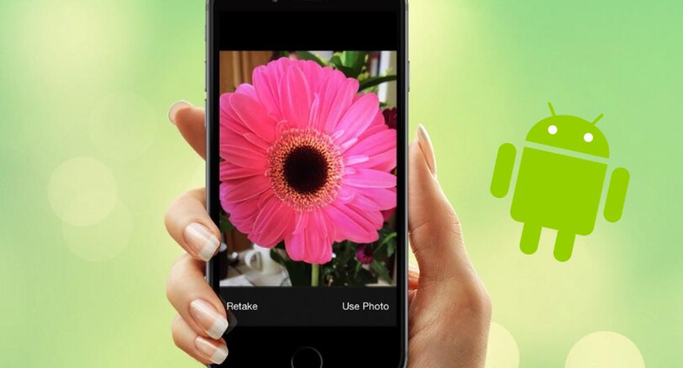  Android |  Find out what kind of plant you have with your mobile camera  Image This |  Operating System |  Strategy |  Technology |  nda |  nnni |  Sports-play

