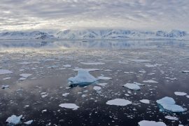 Antarctic sea ice has never been this thin in July, according to a satellite survey