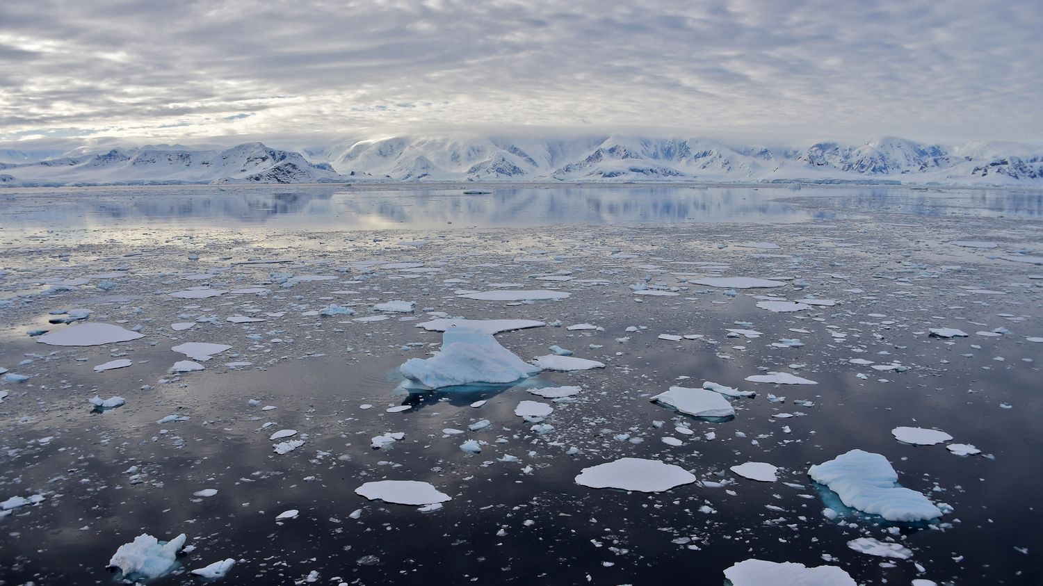 Antarctic sea ice has never been this thin in July, according to a satellite survey

