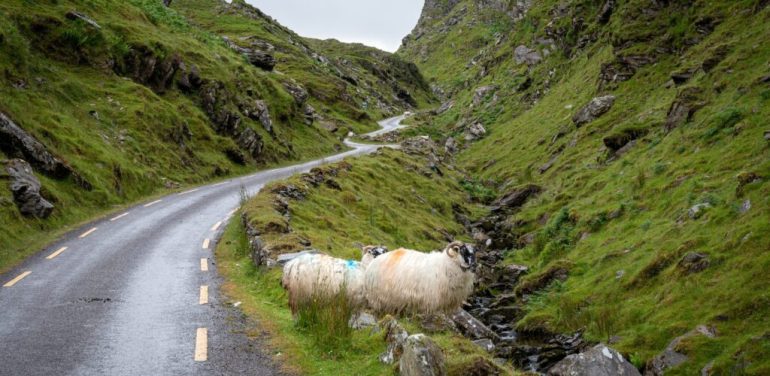 Ballaghbeema Gap - Mountain Road • Guide Ireland.com