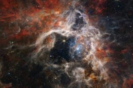 James Webb: Countless Newborn Stars Shine in the Cosmic Maternity Hospital