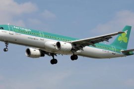 Financial |  Aer Lingus has canceled several flights due to a computer glitch