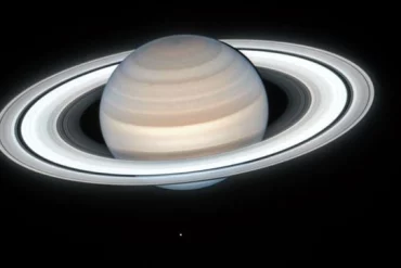 They reveal the origin of Saturn's rings