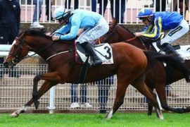 Prix ​​Georges de Talhaut-Roy: For his second obstacle course, Irishman McTeague mates with French