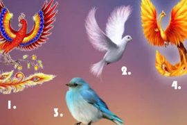 Are you free?  Pick a bird from the personality test and find out within 5 seconds