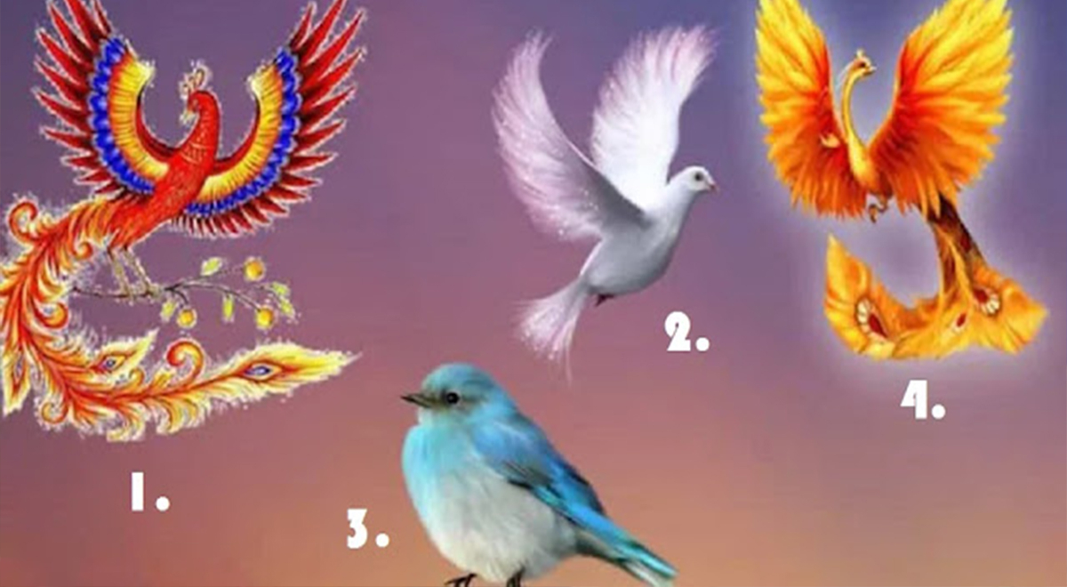  Are you free?  Pick a bird from the personality test and find out within 5 seconds

