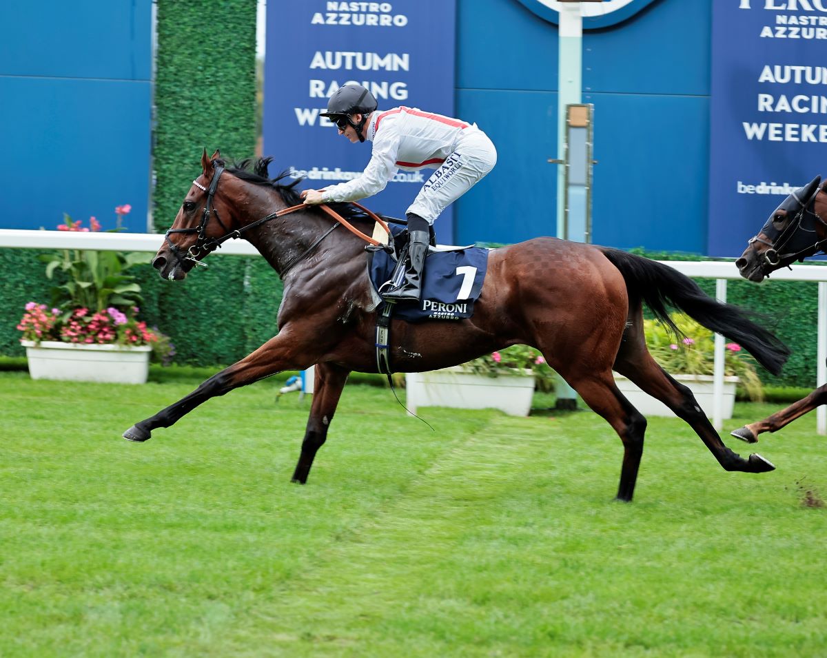 Cumberland Lodge Stakes (Gr3): Kyprios was pipped by Hamish, a 6-year-old junior.