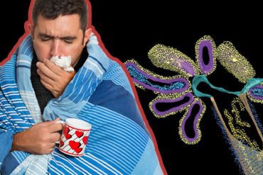 The influenza virus forms a 'hybrid virus' with another virus