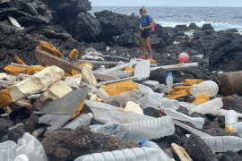A remote island in the South Atlantic that receives waste from around the world by sea
