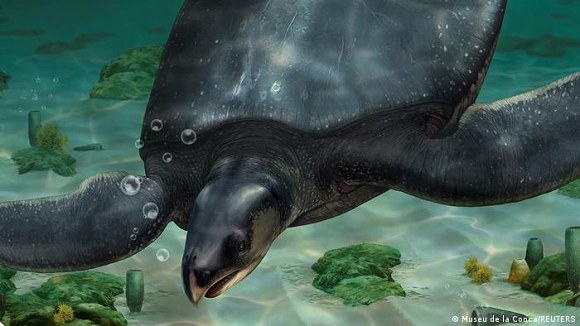 They found a prehistoric sea turtle the size of a car in Spain

