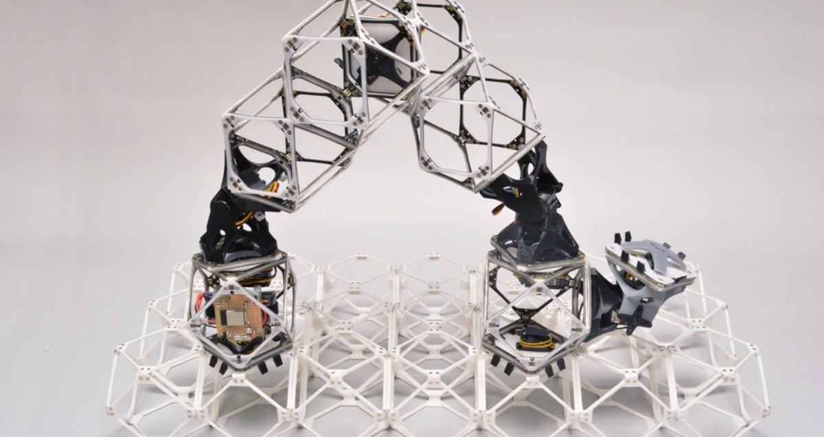 MIT Scientists Create Self-Building Robots: Here's How They Work

