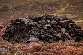 Peat is increasingly discussed in Ireland • Guide Ireland.com