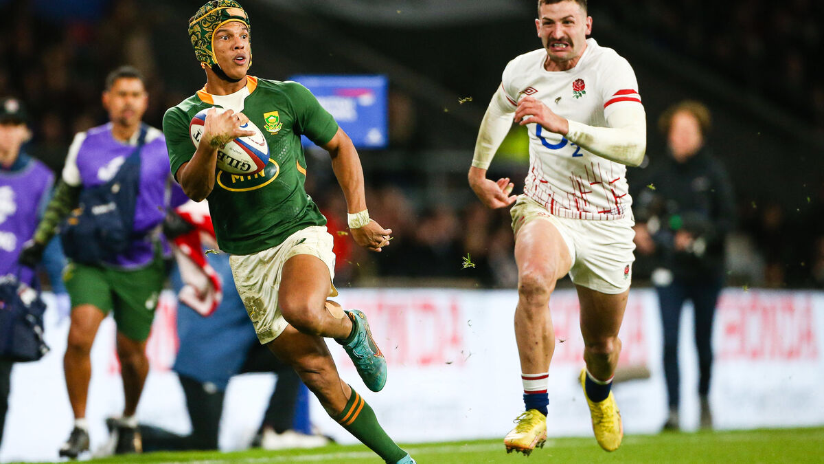 Rugby: South Africa dominate England at Twickenham, Australia as they topple Wales

