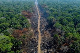 The European Parliament and member states have reached an agreement to ban imports of products resulting from deforestation