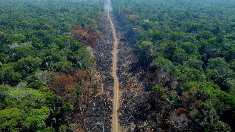 The European Parliament and member states have reached an agreement to ban imports of products resulting from deforestation