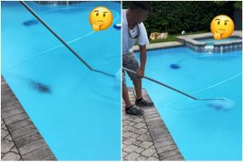 The man who cleaned the pool sees a black spot in the water and finds what he doesn't want